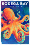 Bodega Bay, California - Vivid - Octopus