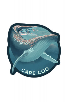 Cape Cod, Massachusetts - Lithograph - Humpback Whale - Contour