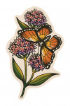 American Traditional - Monarch - Contour