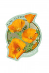 Los Altos, California - Poppies - Contour