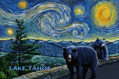 Lake Tahoe - Starry Night - Black Bears