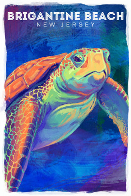 Brigantine Beach, New Jersey - Vivid - Sea Turtle