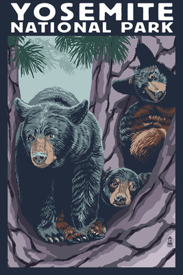 Yosemite National Park, California - Black Bears in Tree - Lantern Press Artwork