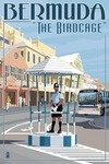 Bermuda - The Birdcage - Lantern Press Artwork