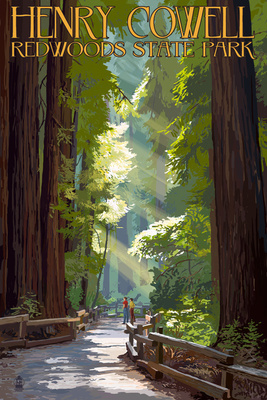 Henry Cowell Redwoods State Park, California - Pathway in Trees - Lantern Press Artwork
