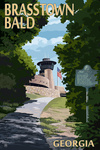 Brasstown Bald, Georgia - Trail Scene - Lantern Press Poster