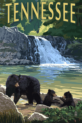 Tennessee - Abrams Falls - Lantern Press Artwork