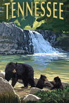 Tennessee - Abrams Falls - Lantern Press Artwork