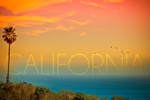 California - Sunset & Bird - Lantern Press Photography