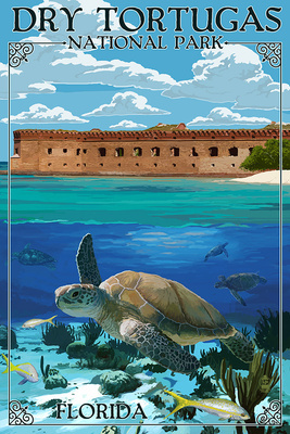 Dry Tortugas National Park, Florida - Painterly - Sea Turtle
