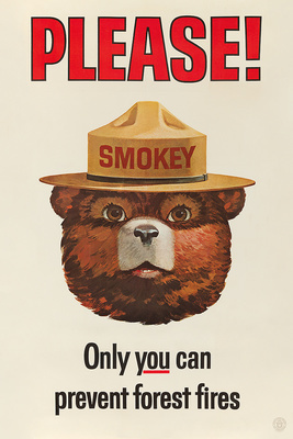 Smokey Bear Vintage Poster - Only You Can Prevent Forest Fires