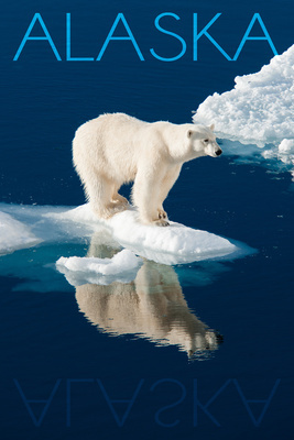 Alaska - Polar Bear & Reflection - Lantern Press Photography