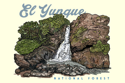 Puerto Rico - La Coca Falls - El Yunque National Forest - Lantern Press Artwork