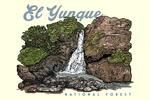 Puerto Rico - La Coca Falls - El Yunque National Forest - Lantern Press Artwork