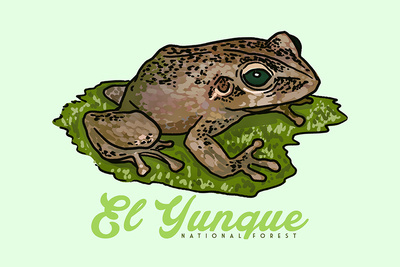 Puerto Rico - Dwarf Coqui - El Yunque National Forest - Green - Lantern Press Artwork