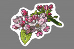 Apple Blossom Flower - Icon - Lantern Press Artwork