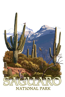 Saguaro National Park - Rincon Peak - Lantern Press Artwork