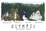 Olympic National Park - Waterfall Montage - Lantern Press Artwork