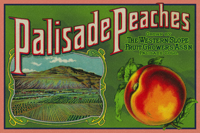 Palisade, Colorado - Palisade Peach - Vintage Label
