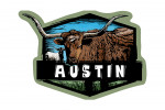 Austin, Texas - Longhorn -  Scratchboard - Contour - Lantern Press Artwork