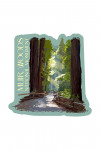 Muir Woods National Monument, California - Pathway - Contour