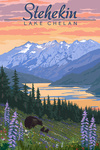 Stehekin, Washington - Lake Chelan - Bear & Spring Flowers - Lantern Press Artwork - test