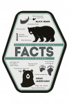 Idyllwild, California - Bear Facts - Contour - Lantern Press Artwork