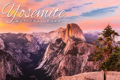 Yosemite National Park, California - Tree & Valley with Half Dome - Photography