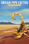 Organ Pipe Cactus National Monument, Arizona - Lithograph - Scorpion