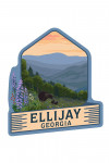 Ellijay, Georgia - Bear & Spring Flowers - Contour