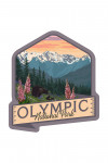 Olympic National Park, Washington - Bear Family & Spring Flowers - Contour