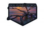 Jekyll Island, Georgia - Driftwood & Sunset - Contour - Lantern Press Photography