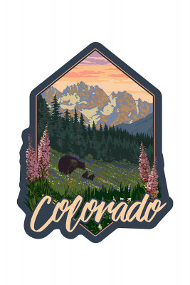 Colorado - Bears & Spring Flowers - Contour