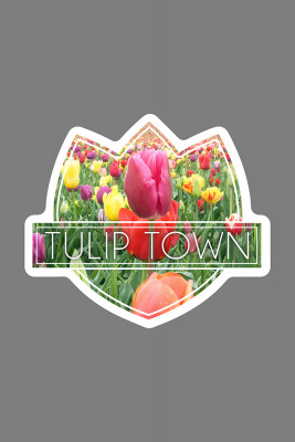 Tulip Town, Washington - Tulips - Contour - Lantern Press Photography