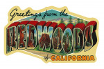 Greetings from the Redwoods of California - Contour