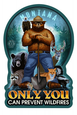 Montana - Smokey Bear - Only You Can Prevent Wildfires - Contour - Lantern Press Artwork