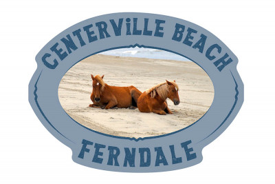 Ferndale, California - Centerville Beach - Wild Horses on Beach - Contour - Lantern Press Photography