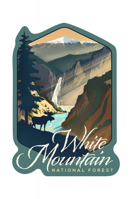 White Mountain National Forest, New Hampshire - Lithograph - Contour - Lantern Press Artwork