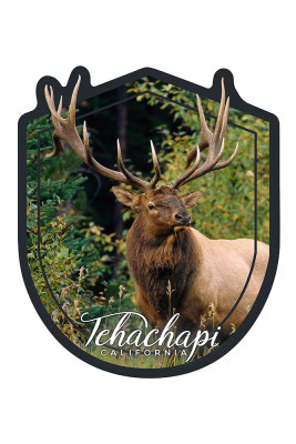 Tehachapi, California - Elk Bull - Contour - Lantern Press Photography